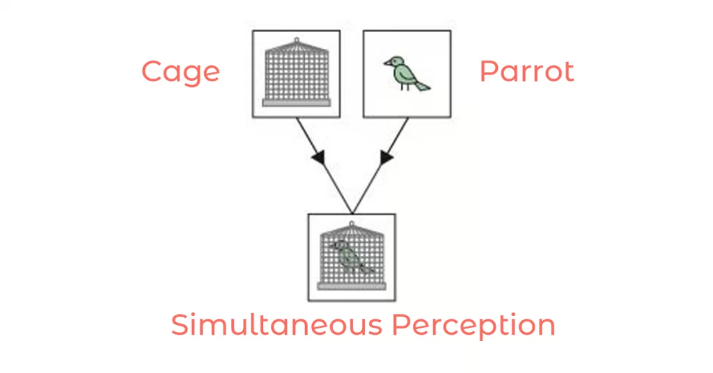 simultaneous perception - binocular vision